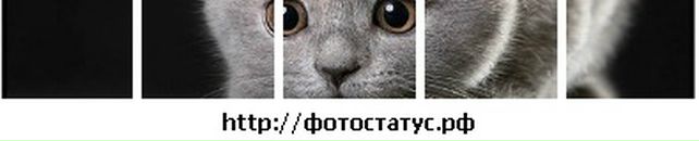 Богдана Форостян фотография #1