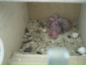 Евгений Кабин фотография #10 (источник - https://vk.com/id6736668)