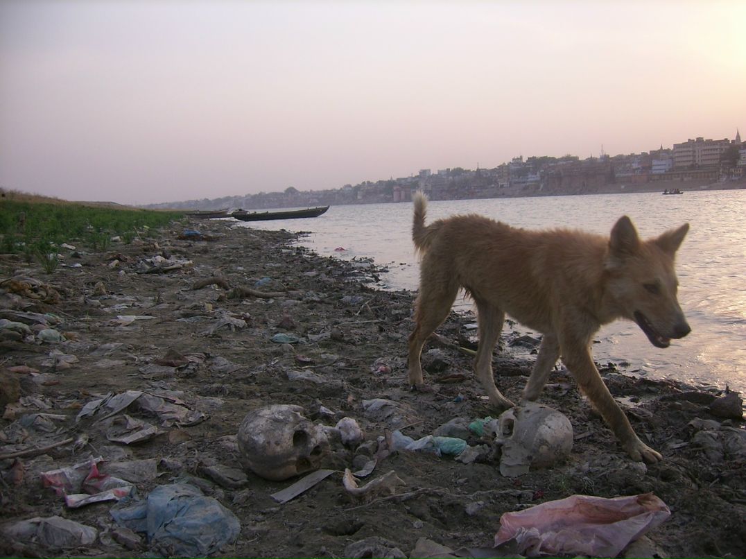 Иван Гусев фотография #29