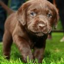 Sen`orita ♥ фотография #48 (источник - https://vk.com/id137215035)