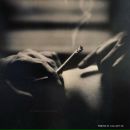 Фотография Metreveli Sandro