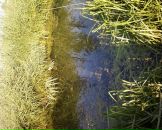 Вован Хемій фотография #48 (источник - https://vk.com/id127788465)