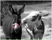 Фотография ... Залины