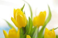 Фотография Сергеевой Натальи