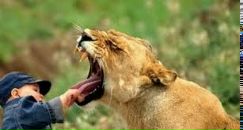 Вася Мосійчук фотография #49 (источник - https://vk.com/id92296268)