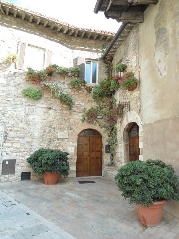 Dmitry Davidenko фотография #43