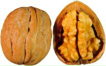 Фотография Борисова-Годунова Сережи