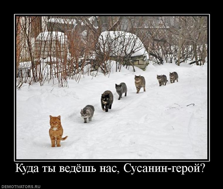 Дмитрий Симанов фотография #34