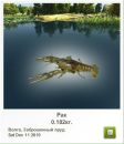 Василий Мыс фотография #8 (источник - https://vk.com/id31481818)