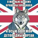Дмитро Кушнір фотография #48 (источник - https://vk.com/id6916171)