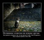 Ірина Грабовець фотография #49 (источник - https://vk.com/id9119721)