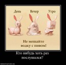 Игорь Луков фотография #30 (источник - https://vk.com/id4749943)