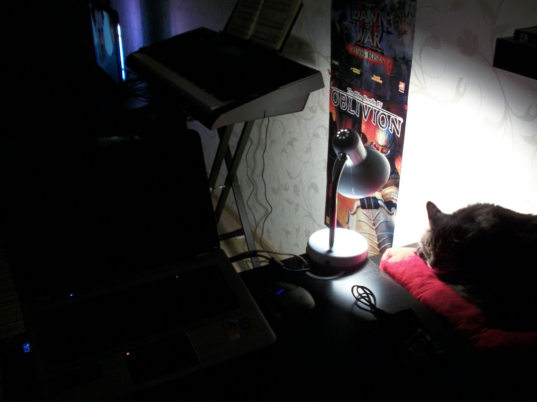 Цов Цов фотография #33