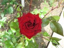 Єва Антонова фотография #40 (источник - https://vk.com/id140761851)
