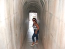Inna Şarlaklar фотография #29 (источник - https://vk.com/id136668260)