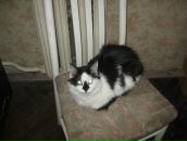 Фотография Ивановой Татьяны