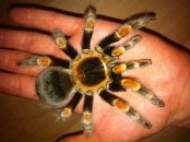 Фотография Кузнецова Михаила