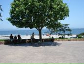 Стас Тыц фотография #25 (источник - https://vk.com/id790806)