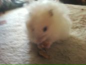 Фотография Семёновой Екатерины