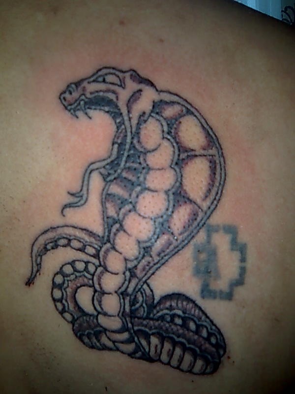 Макс Гладышев фотография #40