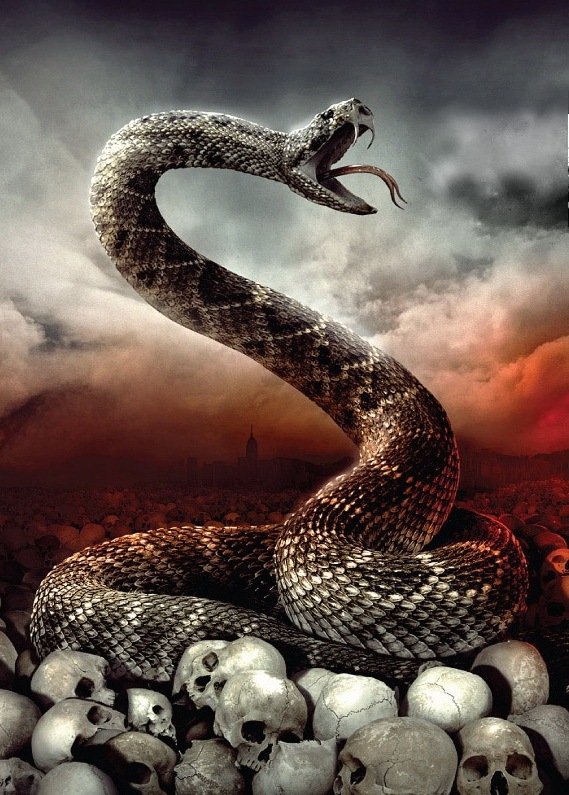 Костопяната Игнатенко фотография #1