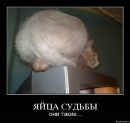 Ігор Большой фотография #1