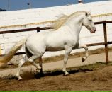 Фотография Моргун Юлии