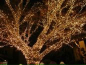 Анна Синицына фотография #30 (источник - https://vk.com/id6665767)