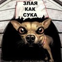 Фотография Евстратовы Ирины