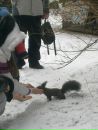 Інна Урдейчук фотография #21 (источник - https://vk.com/id41893511)