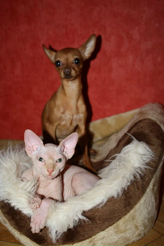 Дмитрий Борисенко фотография #38