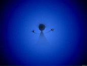 Paul Batalko фотография #38 (источник - https://vk.com/id963995)