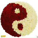 Фотография Даулетзяновой Раисы