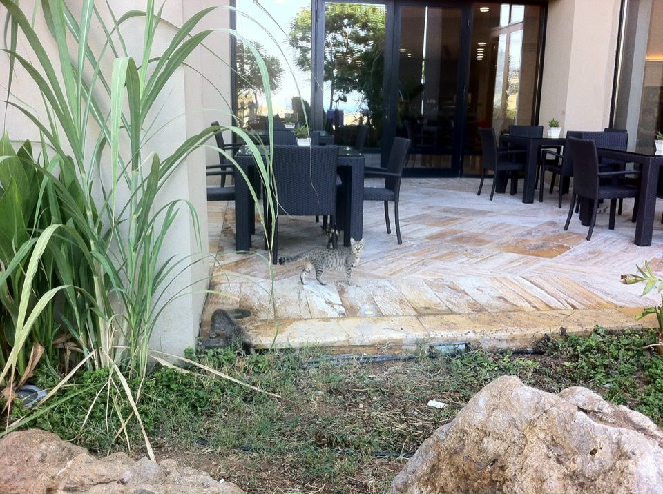 Дмитрий Алексеев фотография #20