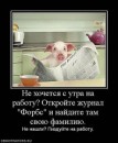 Янина Брейн фотография #3 (источник - https://vk.com/id3777557)