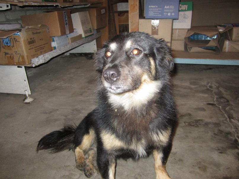 Lidia Lang фотография #33