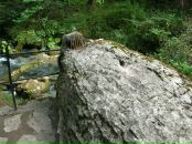 Анна Пленкова фотография #18 (источник - https://vk.com/id1463019)