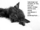 Маріна Єжова фотография #33 (источник - https://vk.com/id142504769)