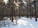 Анатолий Бацевич фотография #8 (источник - https://vk.com/id10951228)