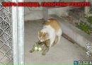 Віталій Дідович фотография #11 (источник - https://vk.com/id78979337)