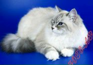 Фотография Изюмовой Мари