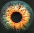 Фотография Осипова Георгия