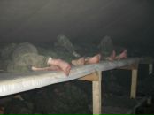 Дмитрий Утев фотография #31 (источник - https://vk.com/id890345)