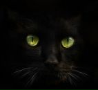 Фотография Петуховой Кати