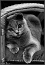Фотография Орловой Марины
