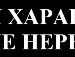  фотография #47
