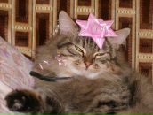 Фотография Безумовой Кристины