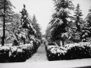 Beşir Deler фотография #21 (источник - https://vk.com/id142785564)