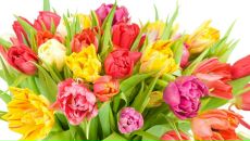 Віталік Бойчук фотография #17 (источник - https://vk.com/id27362079)