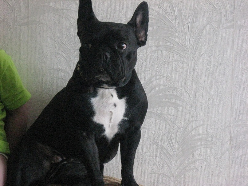 Софья Сергеева фотография #21